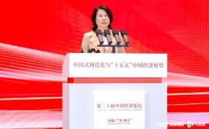 董明珠谈玫瑰空调：创新尝试打造艺术品，市场反馈却褒贬不一