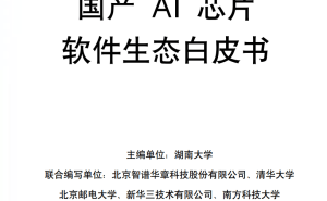 国产AI芯片软件生态:从“可用”到“卓越”的跨越之路与未来展望