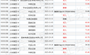 雷军2025年11月24日增持260万股小米集团-W B类普通股，市场表现受关注