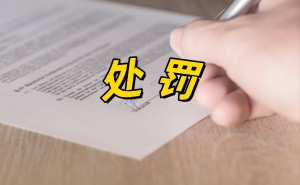 *ST创兴年报虚假记载遭监管措施 董事长刘鹏等责任人领警示函