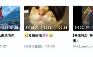 “哈基米”狂欢难掩颓势,九阳股份困局:豆浆机王者如何破局重生?