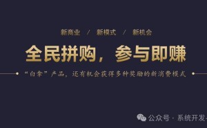 全民拼购：社交电商新玩法，是共赢新引擎还是低价泡沫？