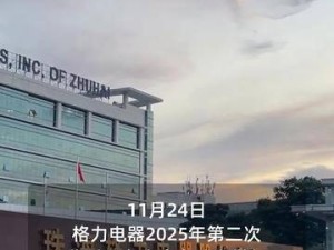 董明珠再发声：格力分红策略背后的考量与未来展望