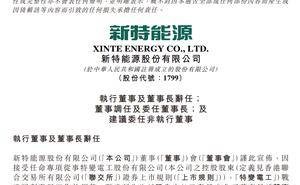 新特能源人事变动：张建新辞任董事长 黄汉杰接棒 胡有成拟任非执董