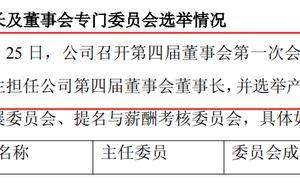 “稚晖君”彭志辉:从“华为天才少年”到上纬新材新任董事长