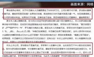 385亿资金疑云：董事实名举报董事长与董秘涉财务违规操作