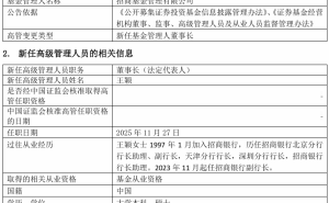 招商系老将王颖履新 11月起任招商银行副行长后出任招商基金董事长