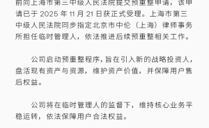 极越“复活”在即？启动预重整程序，能否寻得新投资再续生机？