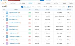 许家印前妻丁玉梅关联企业现状：部分存续，超半数实控企业已吊销注销