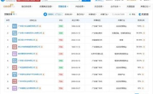 丁玉梅关联多家企业：部分存续，超半数实控企业已吊销注销