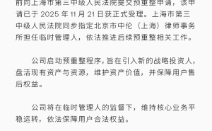 停摆近一年 极越汽车启动预重整 引入新战略投资人盘活资产护用户权益