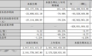 奥尼电子2025年三季报：营收大增却亏损扩大 兄弟高管薪酬引关注