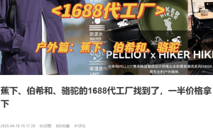 伯希和港股IPO：销售成本降但退货率升 欠缴社保公积金CEO高薪引关注