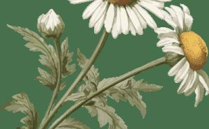 广东法院林晔晗：深挖法治内核 活用传播形式 讲好新时代法治故事