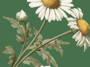 廣東法院林曄晗：深挖法治內核 活用傳播形式 講好新時代法治故事