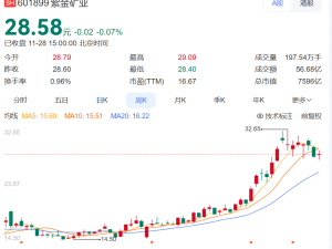 紫金礦業“靈魂人物”陳景河因齡因家退任，擬任終身榮譽董事長身家超24億