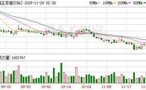 外卖大战“旁观者”霸王茶姬:三季报业绩下滑 境外业务成亮点将推新菜单