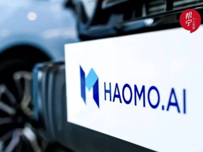 技术滞后市场,长城“弃子”毫末智行停摆,智驾行业加速洗牌