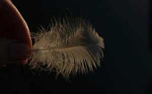 雷军站台、明星带货加持,高梵“平替”Moncler为何难破品牌困局?