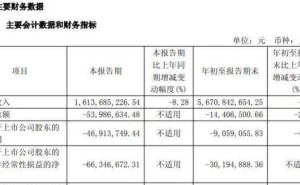 澳柯玛业绩波动:前三季度亏损后转盈,王英峰代行董事长前景存疑