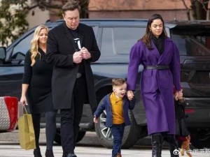 馬斯克官宣新女友希文：AI專家身份亮眼，為其誕下多個孩子引關注