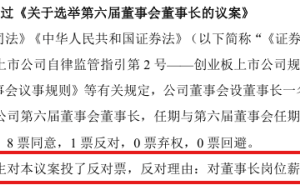 艾比森换届选举现插曲:董事长丁彦辉因薪酬不满投反对票