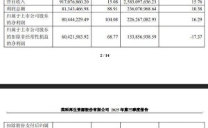 英科再生三季报营收利润双增 女总经理金喆薪酬达董事长七倍多