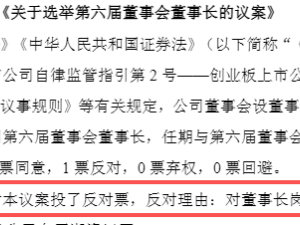 52歲實控人投反對票拒連任董事長：對董事長崗位薪酬存異議