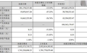 英派斯2025前三季营收利润双降 80后董事长刘洪涛薪酬五年涨超两倍