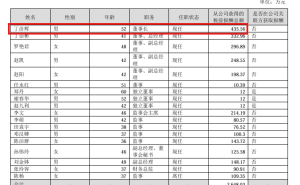 艾比森董事长丁彦辉投反对票:薪酬不满背后是公司治理隐忧?