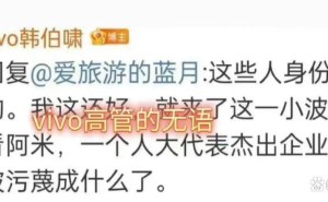 vivo遭网暴与抹黑后,高管深有体会:同为国产热门,小米雷军不易