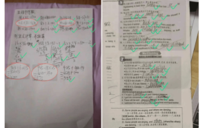 千问App:以AI之力深挖教育场景,打造全学段智能学习新体验