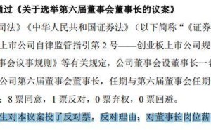 艾比森董事长丁彦辉自否连任引热议 称不满激励机制 董秘孙伟玲薪酬涨至126万