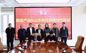 鲁花集团携手网易严选 共启品质消费新篇章 探索生活新方案