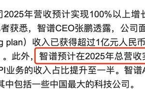 智谱CEO张鹏:GLM业务ARR超1亿,2025年营收或翻倍,服务超270万用户