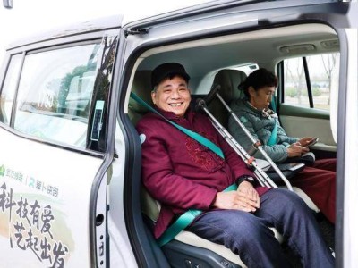 第34个国际残疾人日:萝卜快跑彩绘车“驶”出助残新画卷