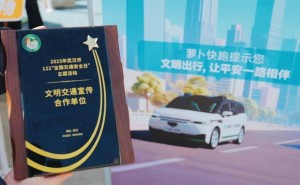 第十四个全国交通安全日：武汉萝卜快跑获殊荣 助力文明智慧出行新篇章