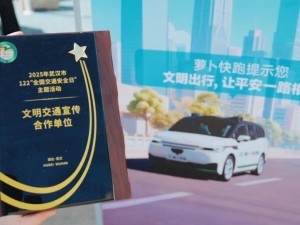 第十四个全国交通安全日：武汉萝卜快跑获殊荣 助力文明智慧出行新篇章