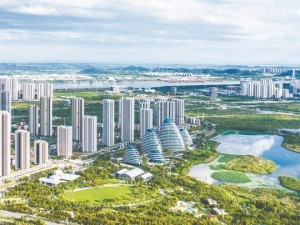 强化产业链精准招商 武汉经开区以多元布局助力“中国车谷”跃升“世界车谷”