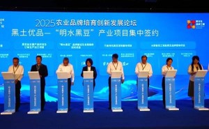 “明水黑豆”闪耀博鳌论坛 签约成果丰硕助力产业集群崛起