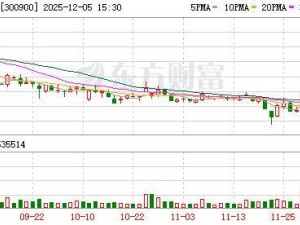 廣聯航空董事長王增奪解除留置 正常履職公司運營平穩