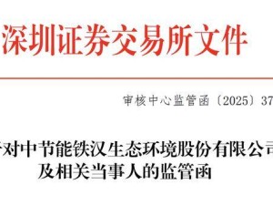 節能鐵漢收購案標的財務數據披露不實,公司及董事長等負責人遭書面警示