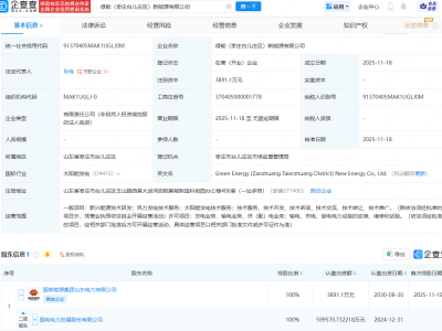 国电电力新设新能源公司，含风力发电技术服务业务