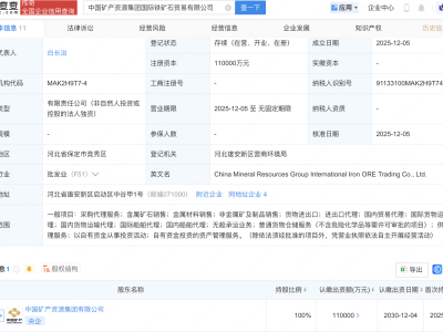 中国矿产资源集团成立国际铁矿石贸易公司,注册资本11亿元