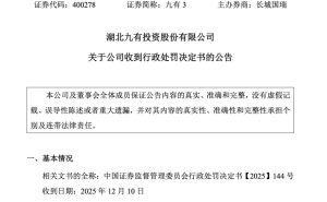 退市仍被追责!九有投资及原董事长领巨额罚单,李明10年禁入市场