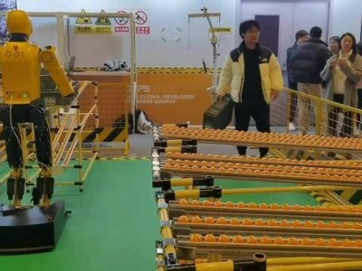 GDPS 2025探秘:从插花到救援,具身智能机器人应用加速落地