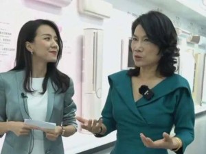 19家空調企業推進“鋁代銅”引爭議，董明珠堅守銅材保障品質引關注