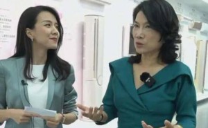 19家空调企业推进“铝代铜”引争议,董明珠坚守铜材保障品质引关注