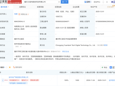 *ST金科在重庆成立数码科技公司
