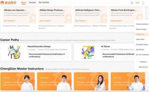 阿里公益“橙点同学”英文版上线,助力全球超57万学员数字技能提升